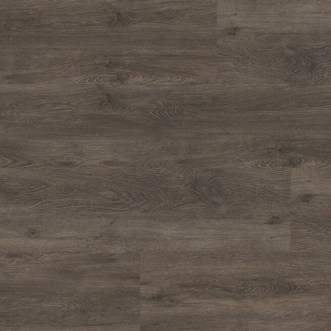 Supremo Dark grey Dryback
