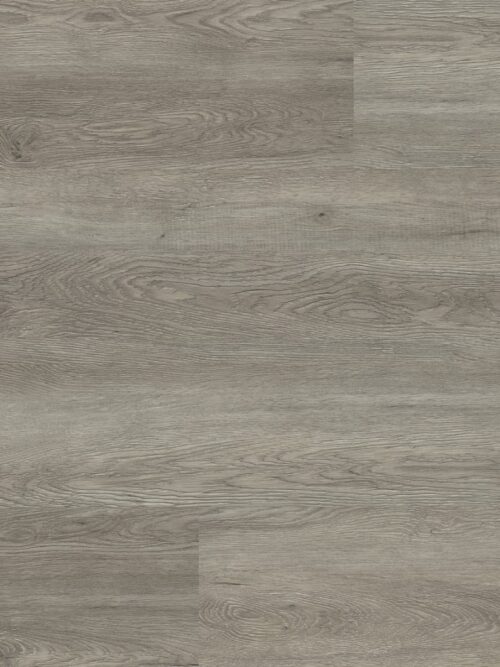 Supremo Grey dryback